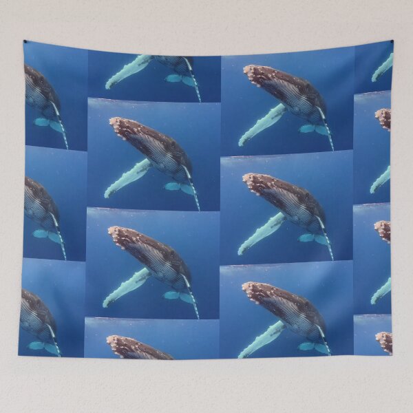 Item preview, Friendly Juvenile Humpback Whale designed and sold by Whale & Dolphin Wisdom Retreats.