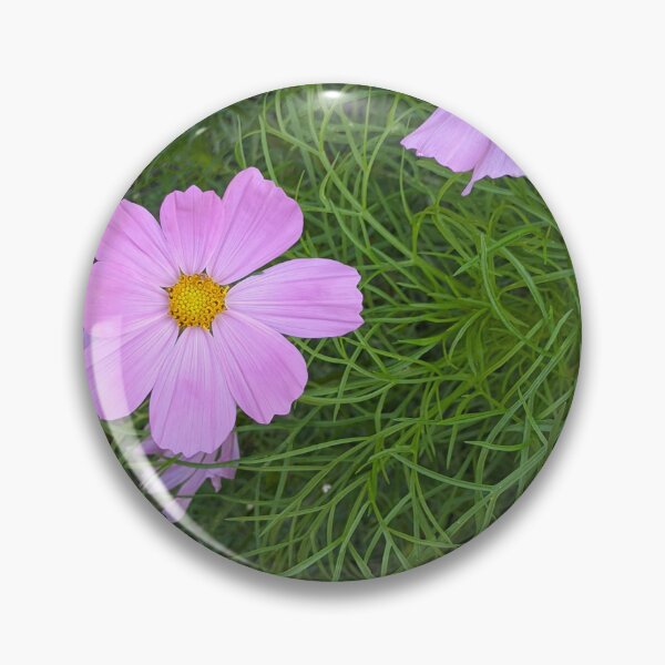 Item preview, Pink Cosmos Flowers in Bloom, Garden Macro Photography designed and sold by PrettyAround.