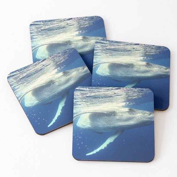 Item preview, Humpback Whale Calf designed and sold by Whale & Dolphin Wisdom Retreats.