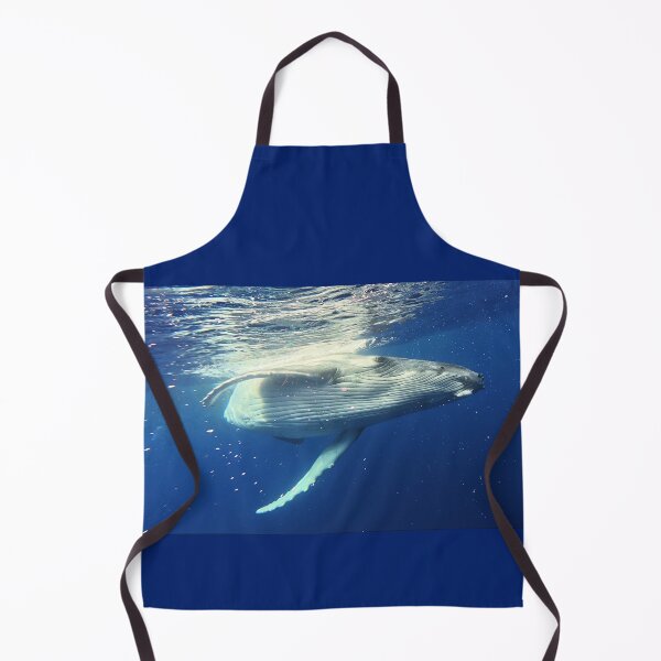 Item preview, Humpback Whale Calf designed and sold by Whale & Dolphin Wisdom Retreats.