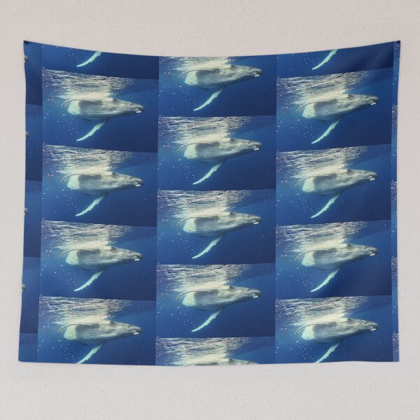 Item preview, Humpback Whale Calf designed and sold by Whale & Dolphin Wisdom Retreats.