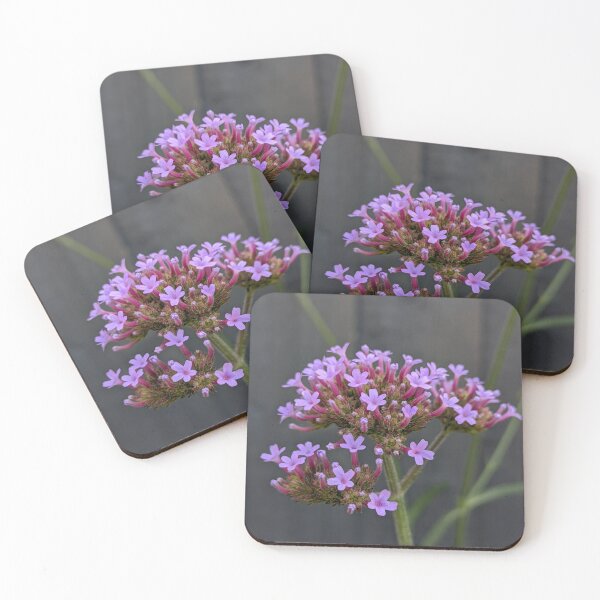 Item preview, Verbena Bonariensis Purple Flower Cluster, Macro Garden Photography designed and sold by PrettyAround.
