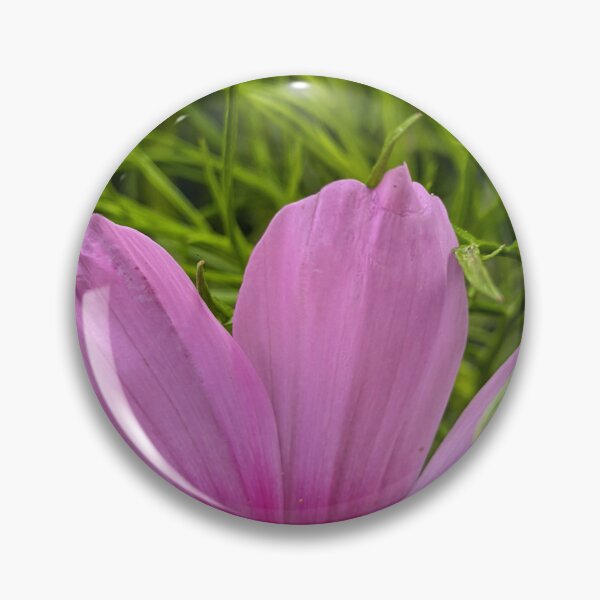 Item preview, Cosmos Petals Close Up, Pink Flower Macro Photography designed and sold by PrettyAround.