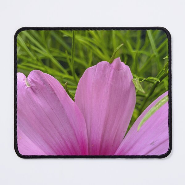 Item preview, Cosmos Petals Close Up, Pink Flower Macro Photography designed and sold by PrettyAround.
