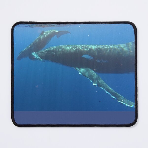 Item preview, Humpback Whale Mother & Calf designed and sold by Whale & Dolphin Wisdom Retreats.