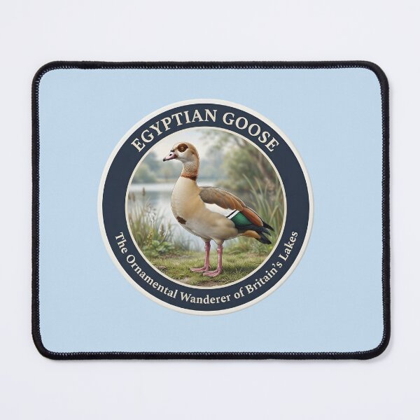 Item preview, EGYPTIAN GOOSE -- The Ornamental Wanderer of Britain's lakes designed and sold by The Digital Compass.