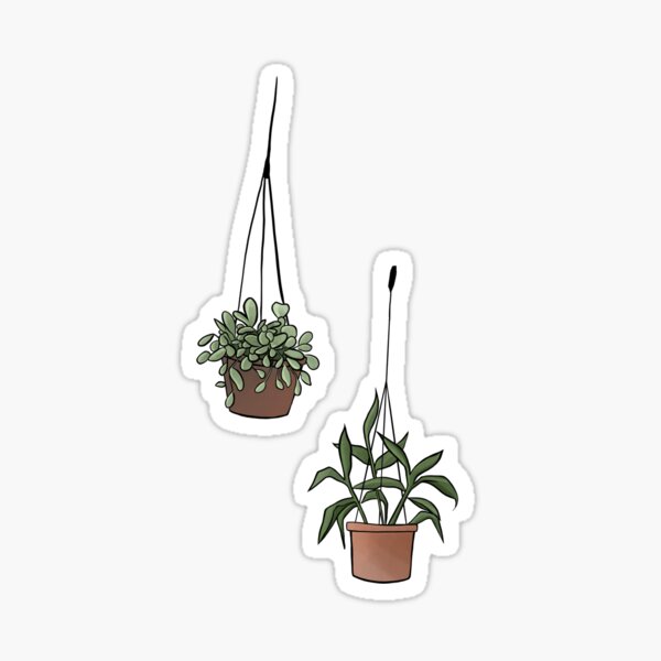 Hanging Plants Sticker