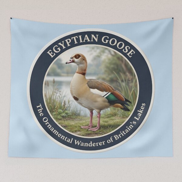 Item preview, EGYPTIAN GOOSE -- The Ornamental Wanderer of Britain's lakes designed and sold by The Digital Compass.