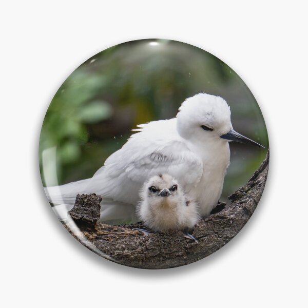 Item preview, Motherly Love, stare down designed and sold by Keola Makaiau.