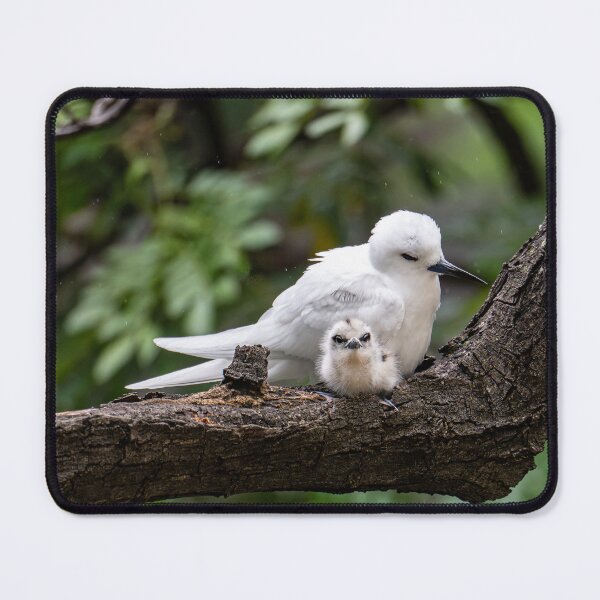 Item preview, Motherly Love, stare down designed and sold by Keola Makaiau.