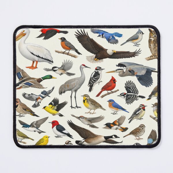 Item preview, Native Birds of Iowa Retro Style Identification Chart designed and sold by kakarikihill.