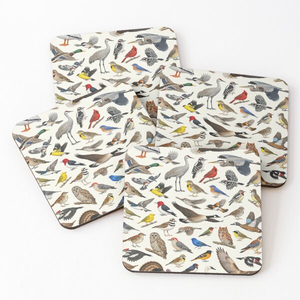 Item preview, Native Birds of Iowa Retro Style Identification Chart designed and sold by kakarikihill.