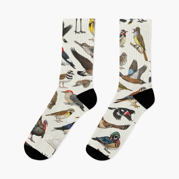 Item preview, Native Birds of Iowa Retro Style Identification Chart designed and sold by kakarikihill.