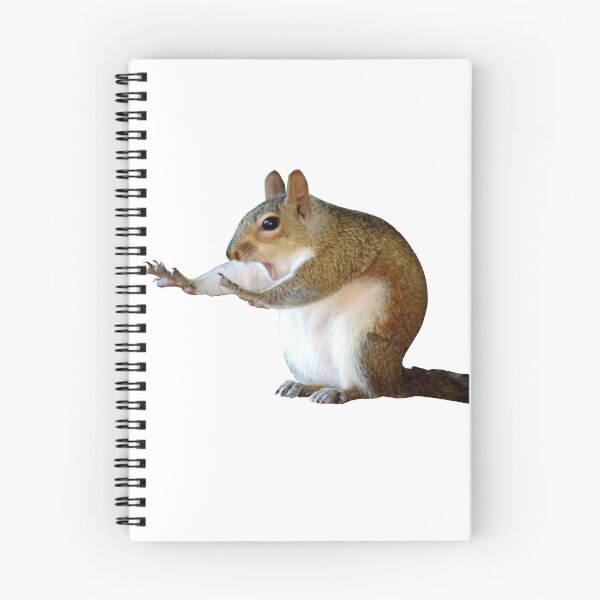 Item preview, Funny Squirrel: Stoppppp designed and sold by Sara-tonin.