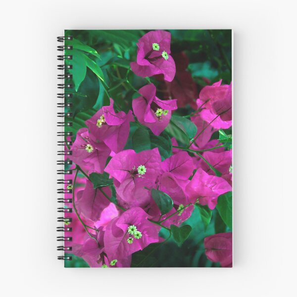 Item preview, Beautiful Bougainvillea designed and sold by heatherfriedman.