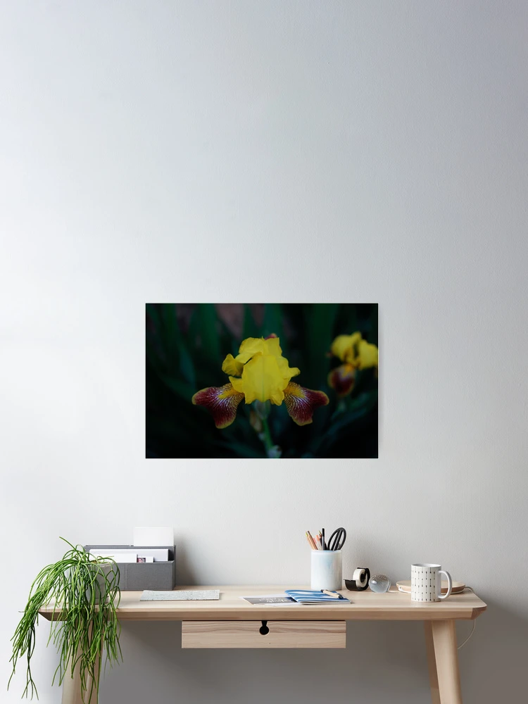 Thumbnail 2 of 3, Poster, Spring designed and sold by yafoto.
