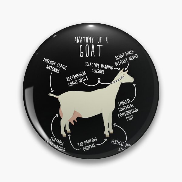 Item preview, Saanen Goat Anatomy designed and sold by Clara Hollins.