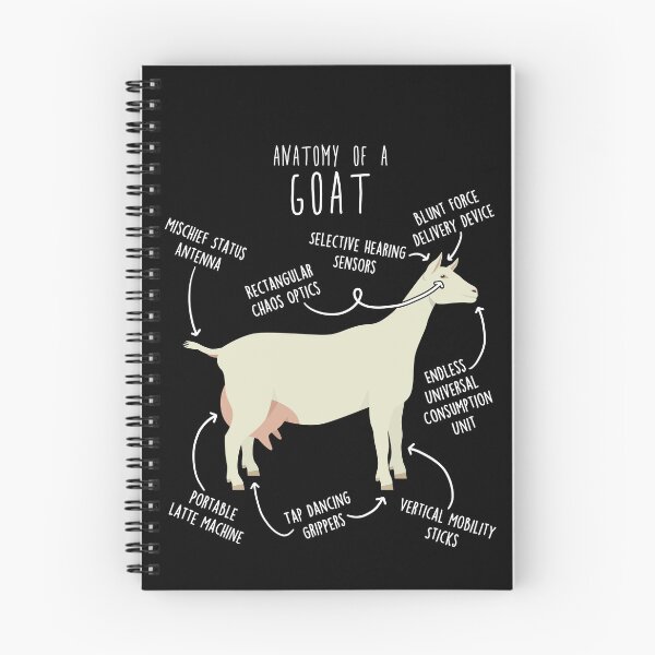 Item preview, Saanen Goat Anatomy designed and sold by Clara Hollins.