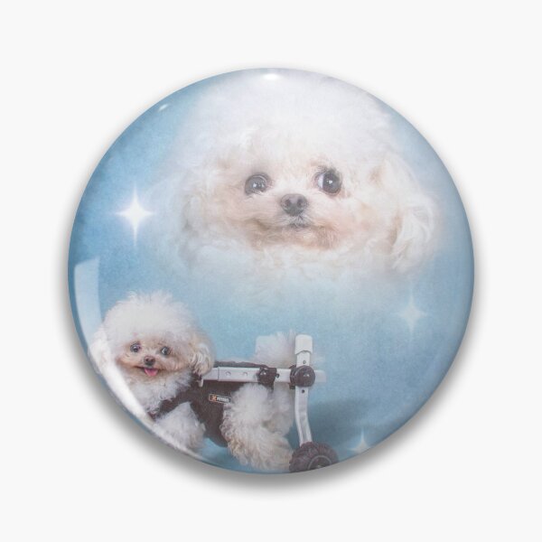 Item preview, Lufy | Tiny Fluffy Dog in a Wheelchair | Cute Pet Portrait designed and sold by LoLife.