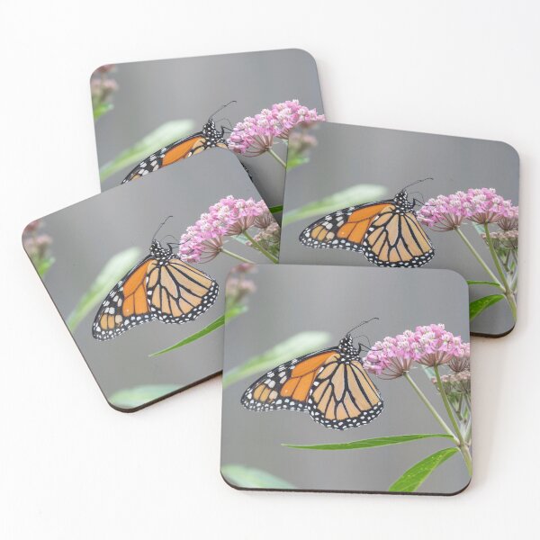 Item preview, Monarch on Swamp Milkweed 7-26-2026 designed and sold by Thomasyoung.