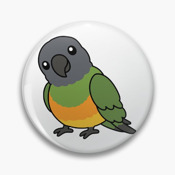 Item preview, Cute Chubby Senegal Parrot designed and sold by Doodlywood.