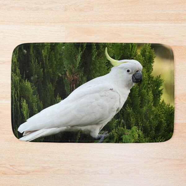 Item preview, Cockatoo Feeding on Seeds designed and sold by Blackadder Photography.