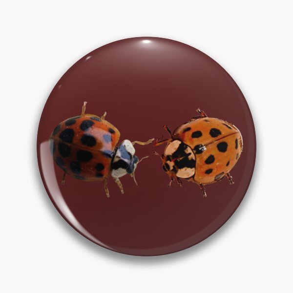 Item preview, ladybugs!! designed and sold by PLANET-VEE.