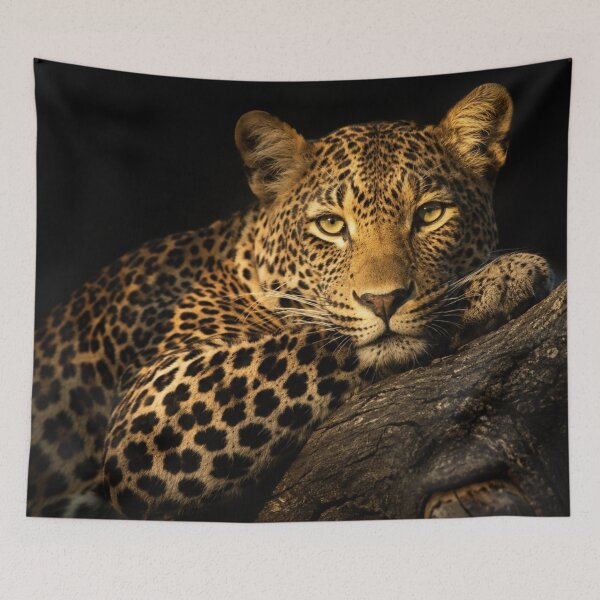 Item preview, Majestic Leopard on Tree Branch | Dramatic Wildlife designed and sold by Myra365Art.
