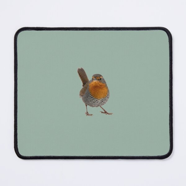 Item preview, Chucao Tapaculo Front View designed and sold by ArunDandiboina.