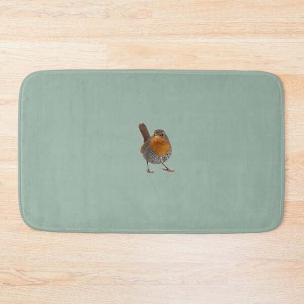 Item preview, Chucao Tapaculo Front View designed and sold by ArunDandiboina.