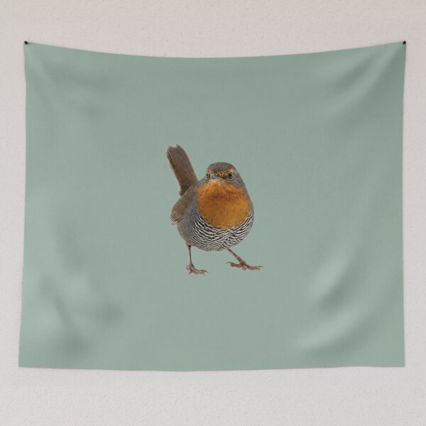 Item preview, Chucao Tapaculo Front View designed and sold by ArunDandiboina.