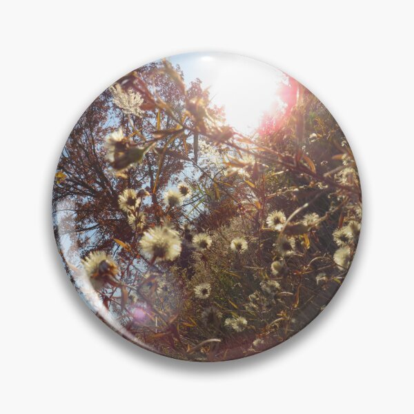 Item preview, over grown field with the sun starting to set nature photography  designed and sold by Toristarr123.