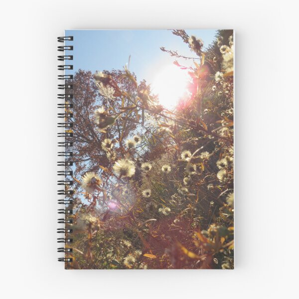 Item preview, over grown field with the sun starting to set nature photography  designed and sold by Toristarr123.
