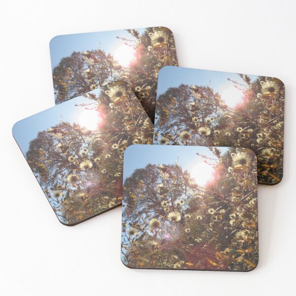 Item preview, over grown field with the sun starting to set nature photography  designed and sold by Toristarr123.