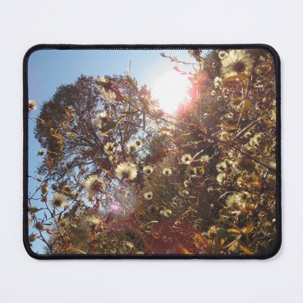 Item preview, over grown field with the sun starting to set nature photography designed and sold by Toristarr123.