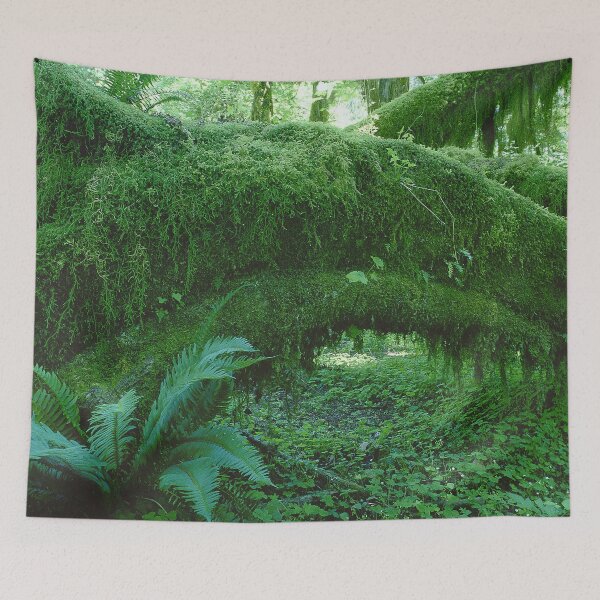 Item preview, Fern Log Art Photo designed and sold by DEC02.