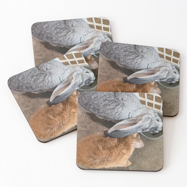 Item preview, Rabbit Crown Royal Reading Corner designed and sold by Heerwhiteshirt.