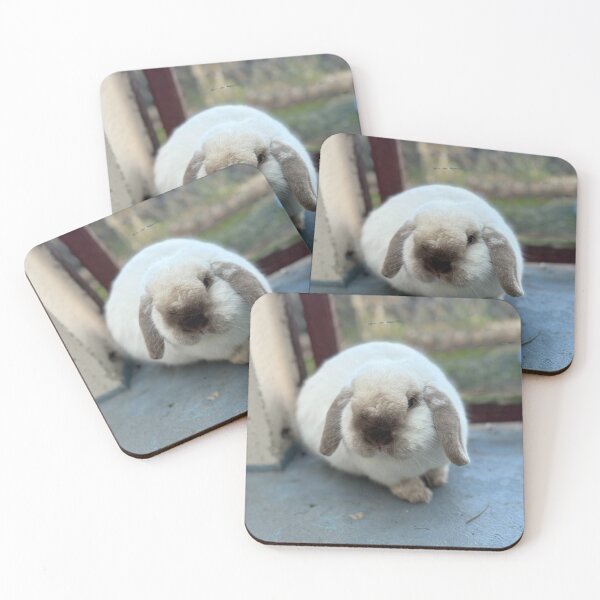 Item preview, Sunny Tufts University bBunny Escape designed and sold by Heerwhiteshirt.