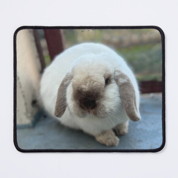 Item preview, Sunny Tufts University bBunny Escape designed and sold by Heerwhiteshirt.