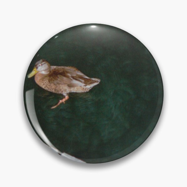 Item preview, I want to see your Duckpics designed and sold by markmorkos.