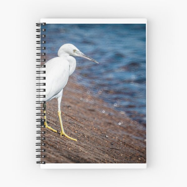 Item preview, Little egret designed and sold by D-GaP.