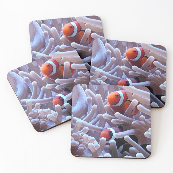 Item preview, Clownfish and Sea Anemone Aquarium Photo designed and sold by pbchan.
