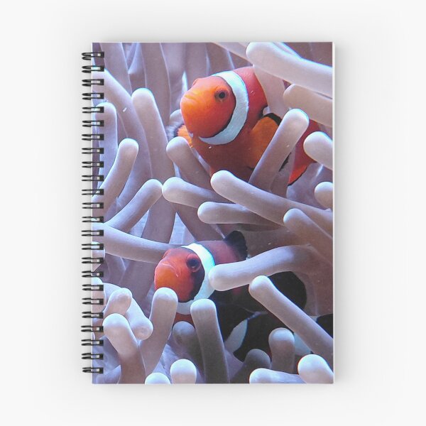 Item preview, Clownfish and Sea Anemone Aquarium Photo designed and sold by pbchan.