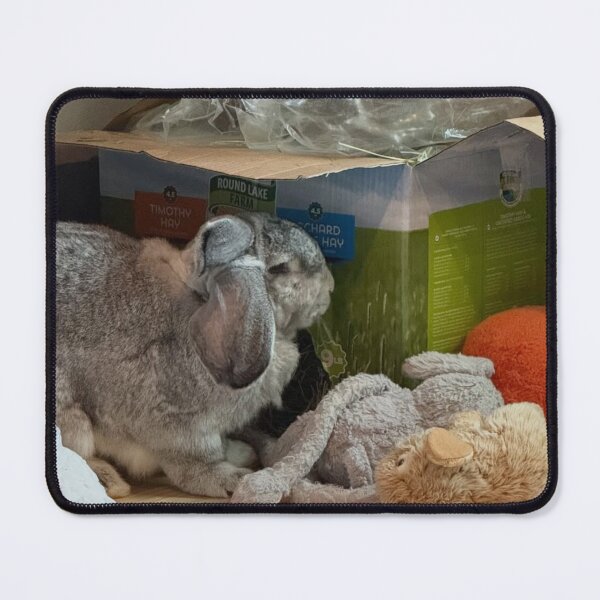 Item preview, Rabbit Ashley McBryde aBalloon Party designed and sold by Heerwhiteshirt.