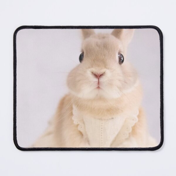 Item preview, Rabbit Suhr Guitars bMeadow Joy designed and sold by Heerwhiteshirt.