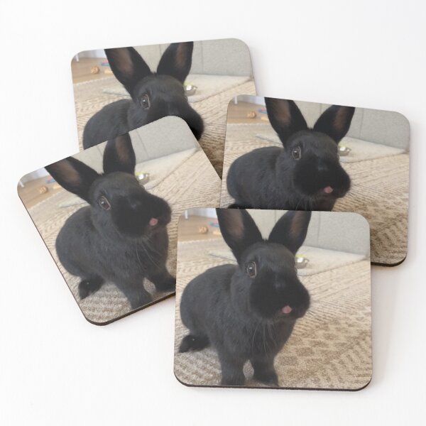 Item preview, Playful Ernie Ball Music Man Bunny Dance designed and sold by Heerwhiteshirt.