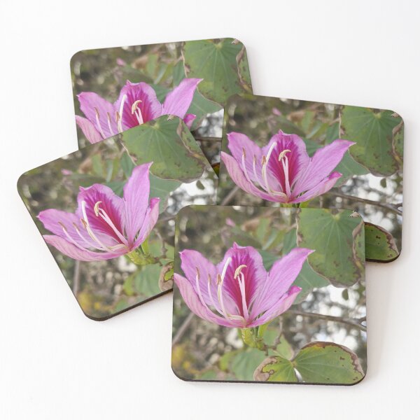 Item preview, spring bloom, Hong Kong orchid tree designed and sold by Lunar-Dragon.