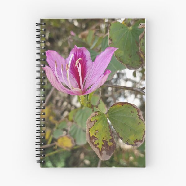 Item preview, spring bloom, Hong Kong orchid tree designed and sold by Lunar-Dragon.