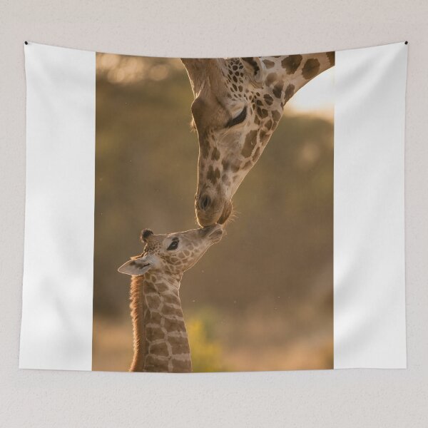 Artikelvorschau, Liebevolle Giraffenmutter mit ihrem Baby im Sonnenuntergang entworfen und verkauft von Fotografin1981.