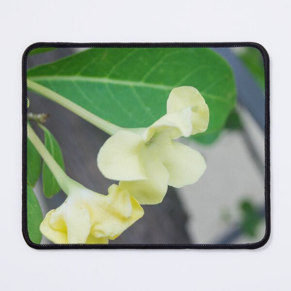 Item preview, Lady of the Night designed and sold by ROSE ANN BANILAR.